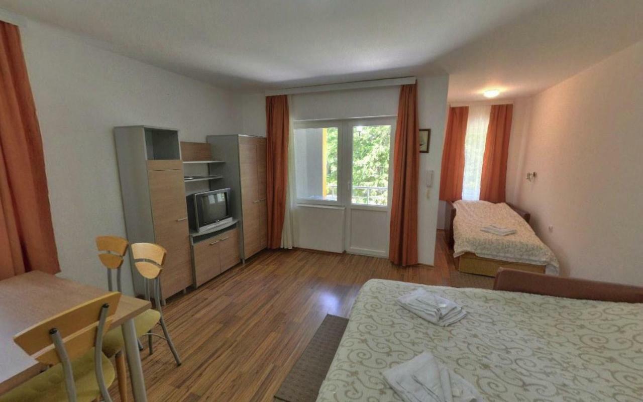 Apartments Banjica Сокобаня Екстер'єр фото